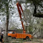 Tree Service Company