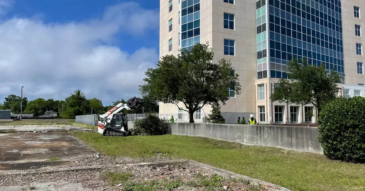 Shrub Removal / Trimming