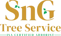 SNG Logo