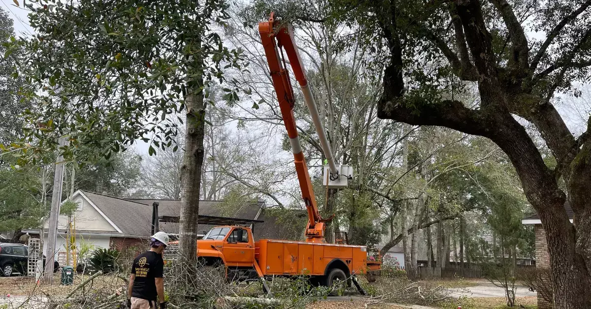 Tree Service Company