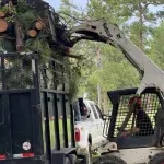 Affordable Tree Service