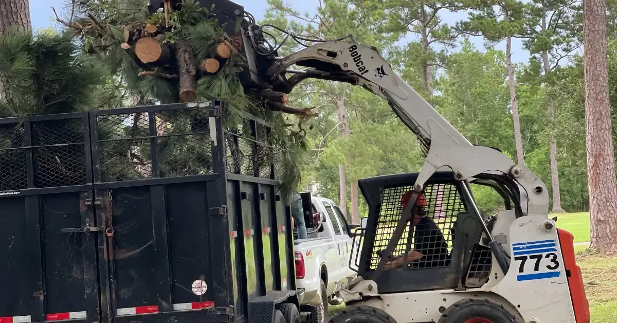 Affordable Tree Service