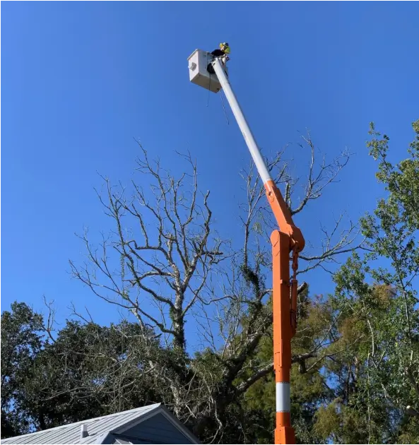 SNG Tree Service crew working safely together on a job site